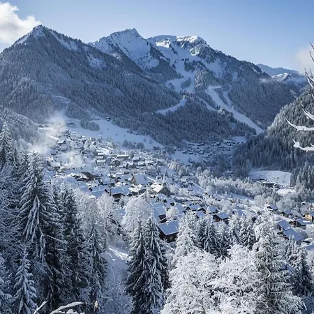 Near Free Shuttle Stop * Châtel